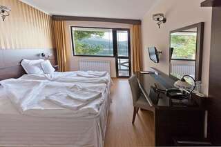 Отель Family Hotel Hebar Батак Двухместный номер с 1 кроватью-3
